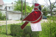 cardinal.jpg