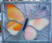 orangebutterfly.jpg
