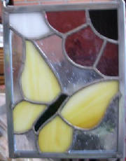 yellowbutterflywithflower.jpg